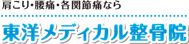 東洋メディカル整骨院
